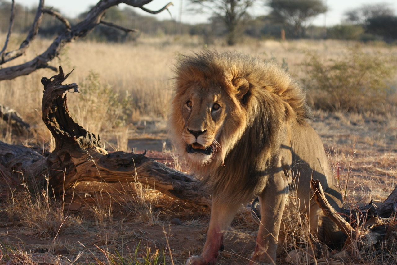 [8403] 2016_06_23_11_54_13_Africa_Canon_EOS_40D_IMG__00916.jpg