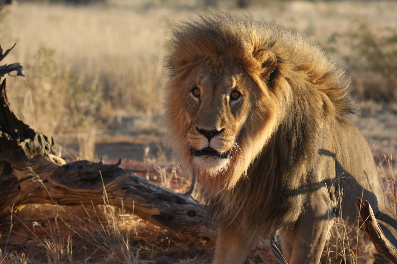 [8410] 2016_06_23_11_54_14_Africa_Canon_EOS_40D_IMG__00917.jpg