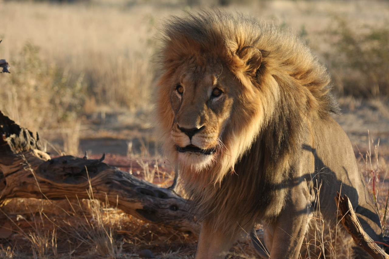 [8414] 2016_06_23_11_54_15_Africa_Canon_EOS_40D_IMG__00919.jpg