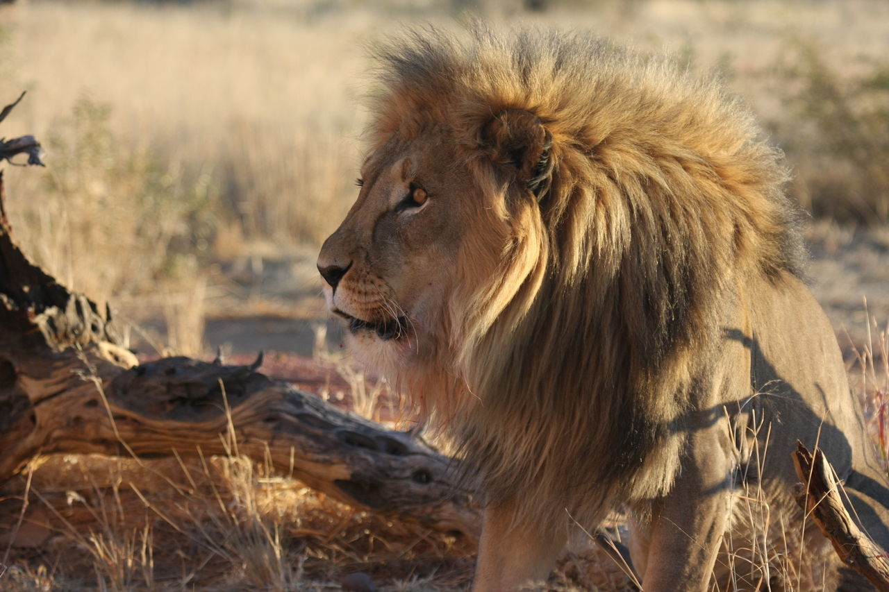 [8425] 2016_06_23_11_54_18_Africa_Canon_EOS_40D_IMG__09202.jpg
