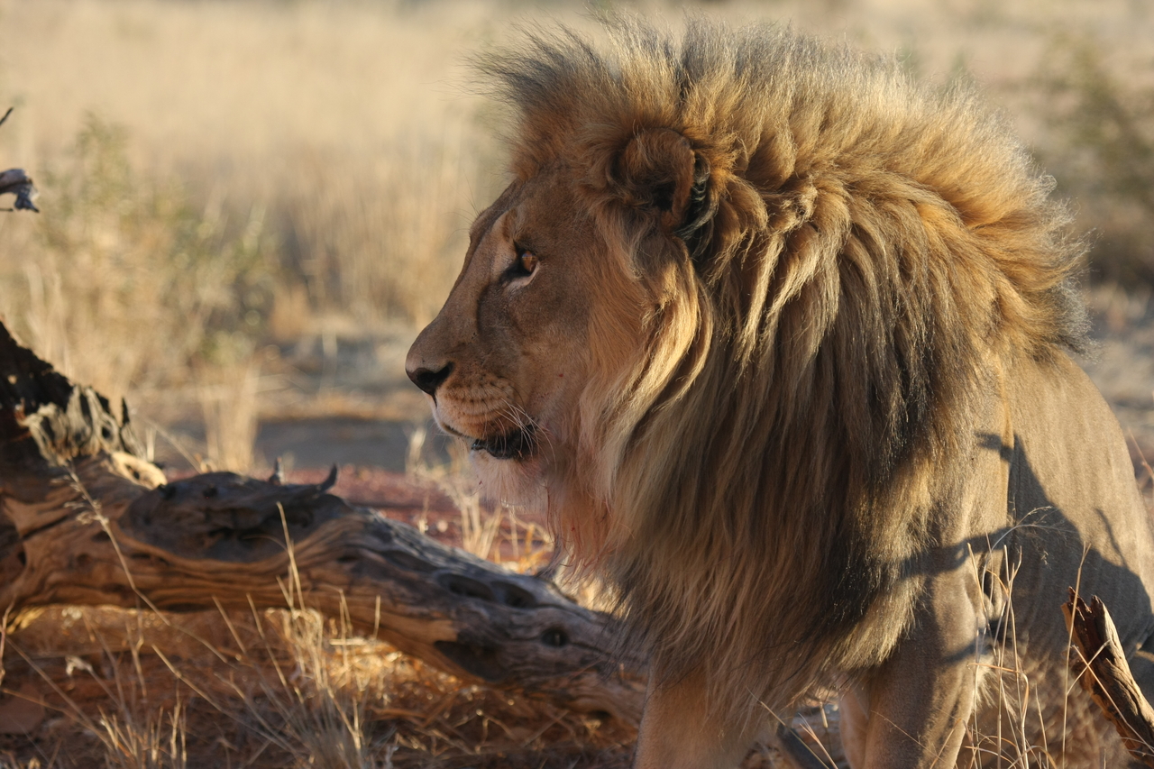 [8432] 2016_06_23_11_54_20_Africa_Canon_EOS_40D_IMG__01759.jpg