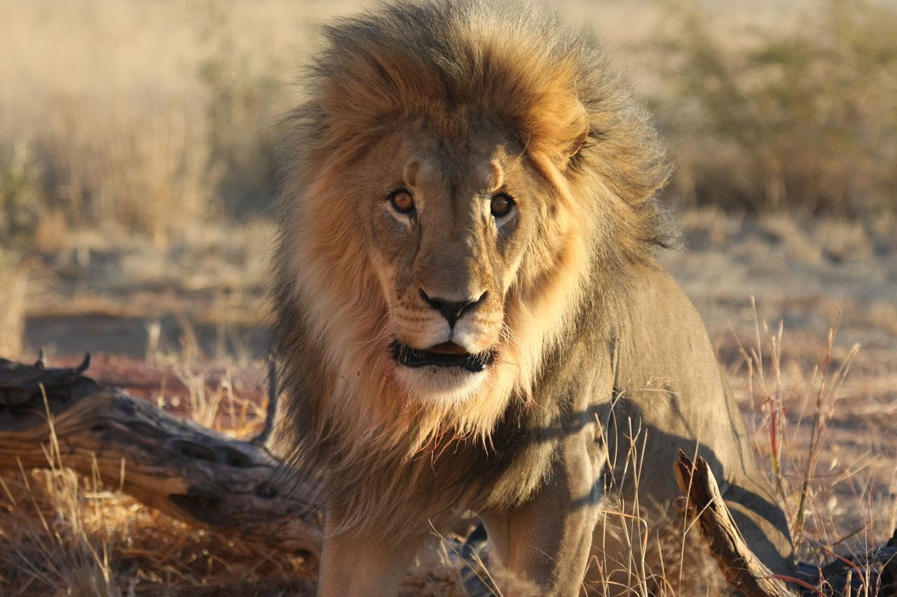 [8459] 2016_06_23_11_54_27_Africa_Canon_EOS_40D_IMG__01764.jpg