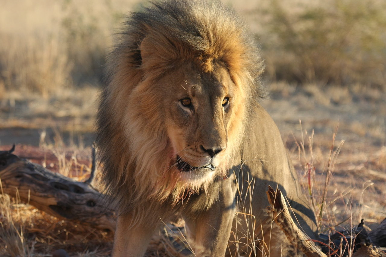 [8467] 2016_06_23_11_54_28_Africa_Canon_EOS_40D_IMG__01768.jpg