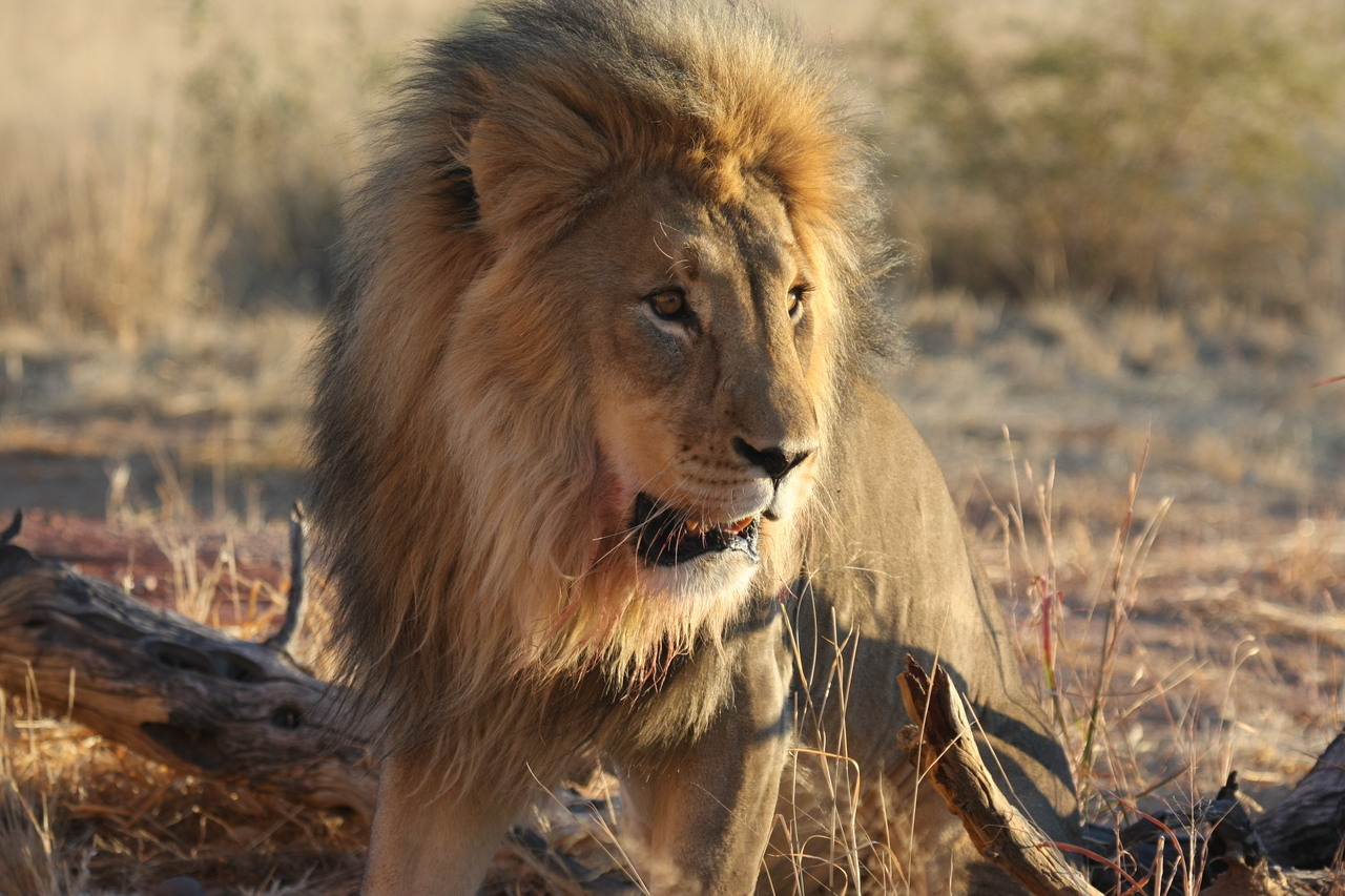 [8474] 2016_06_23_11_54_29_Africa_Canon_EOS_40D_IMG__01770.jpg