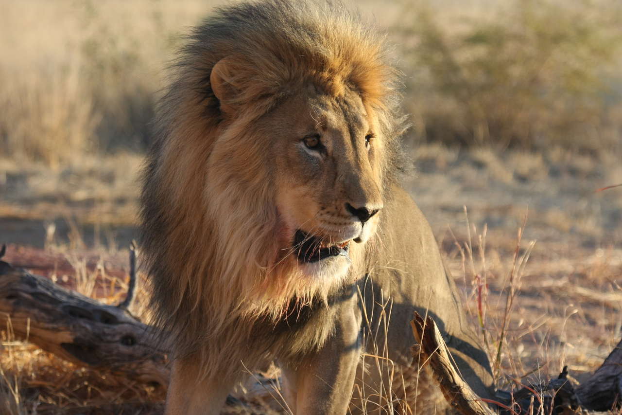 [8479] 2016_06_23_11_54_30_Africa_Canon_EOS_40D_IMG__00938.jpg