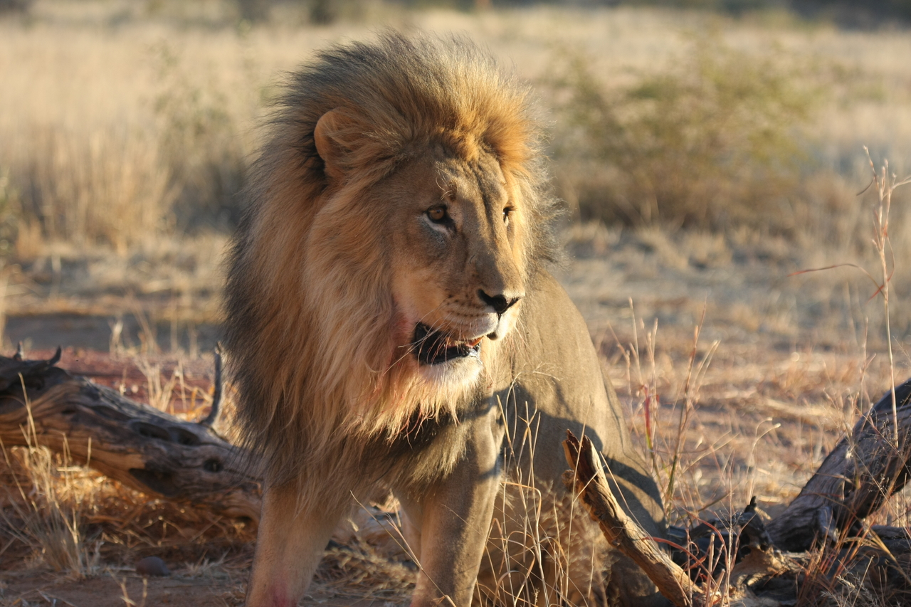 [8484] 2016_06_23_11_54_31_Africa_Canon_EOS_40D_IMG__01773.jpg