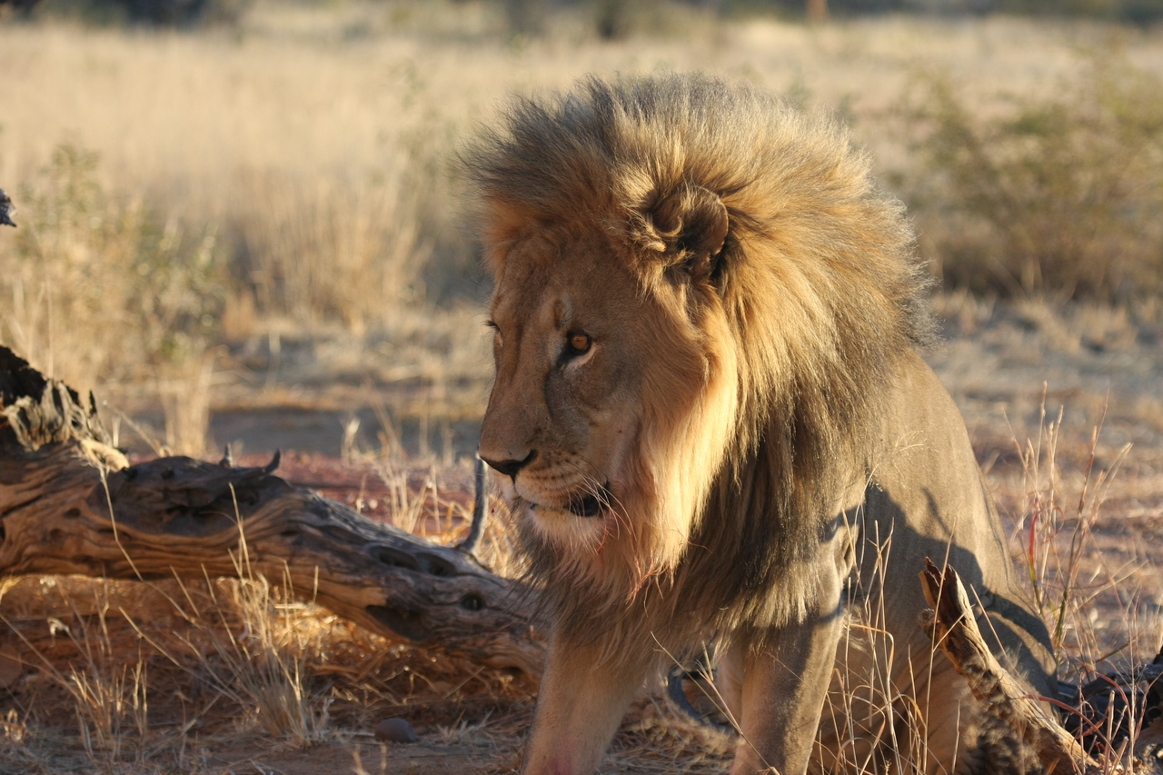 [8532] 2016_06_23_11_54_36_Africa_Canon_EOS_40D_IMG__09236.jpg
