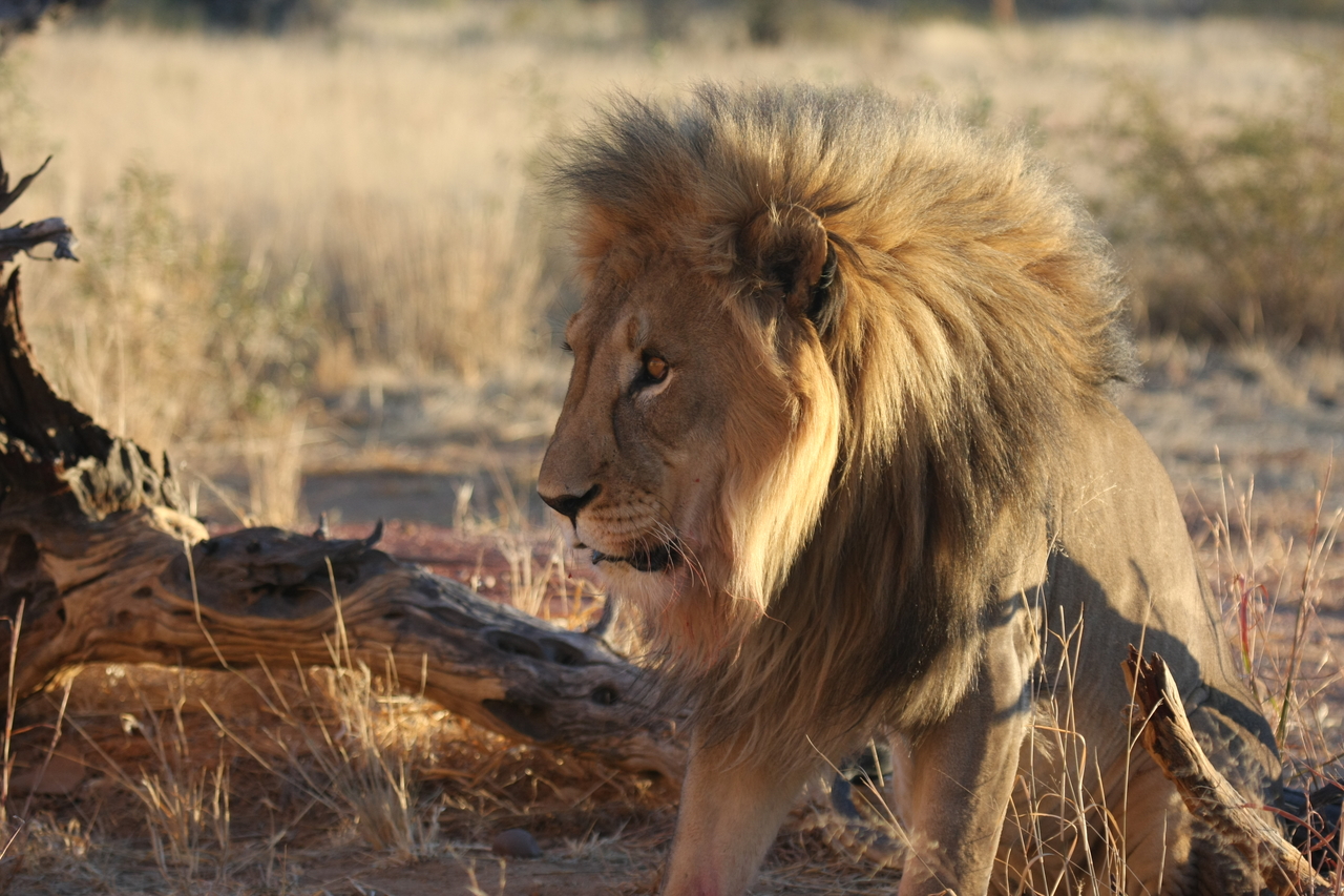 [8533] 2016_06_23_11_54_37_Africa_Canon_EOS_40D_IMG__00956.jpg