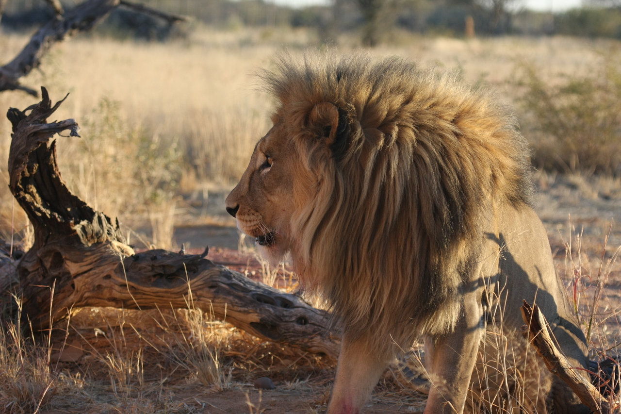 [8548] 2016_06_23_11_54_43_Africa_Canon_EOS_40D_IMG__09240.jpg