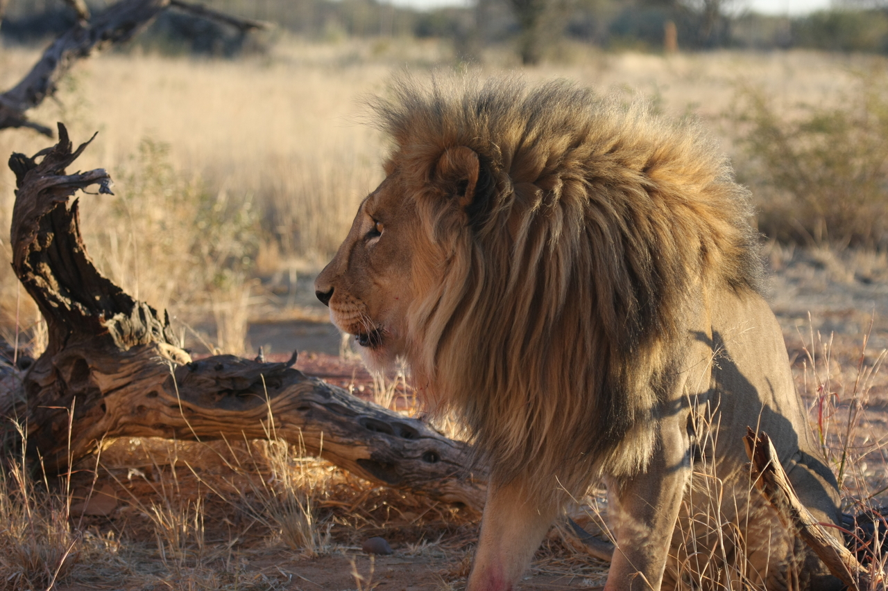 [8549] 2016_06_23_11_54_44_Africa_Canon_EOS_40D_IMG__00960.jpg