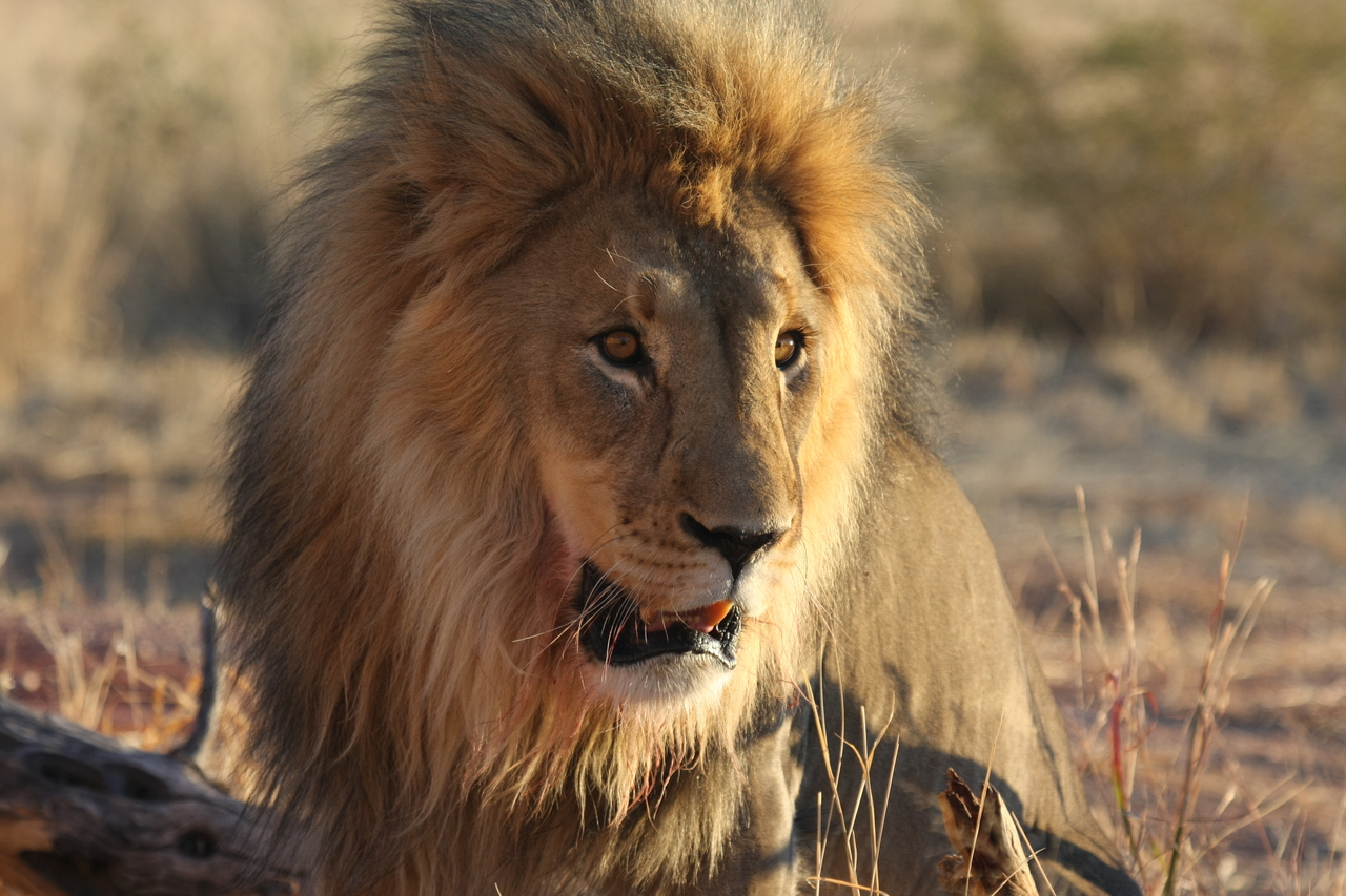 [8571] 2016_06_23_11_54_54_Africa_Canon_EOS_40D_IMG__00967.jpg