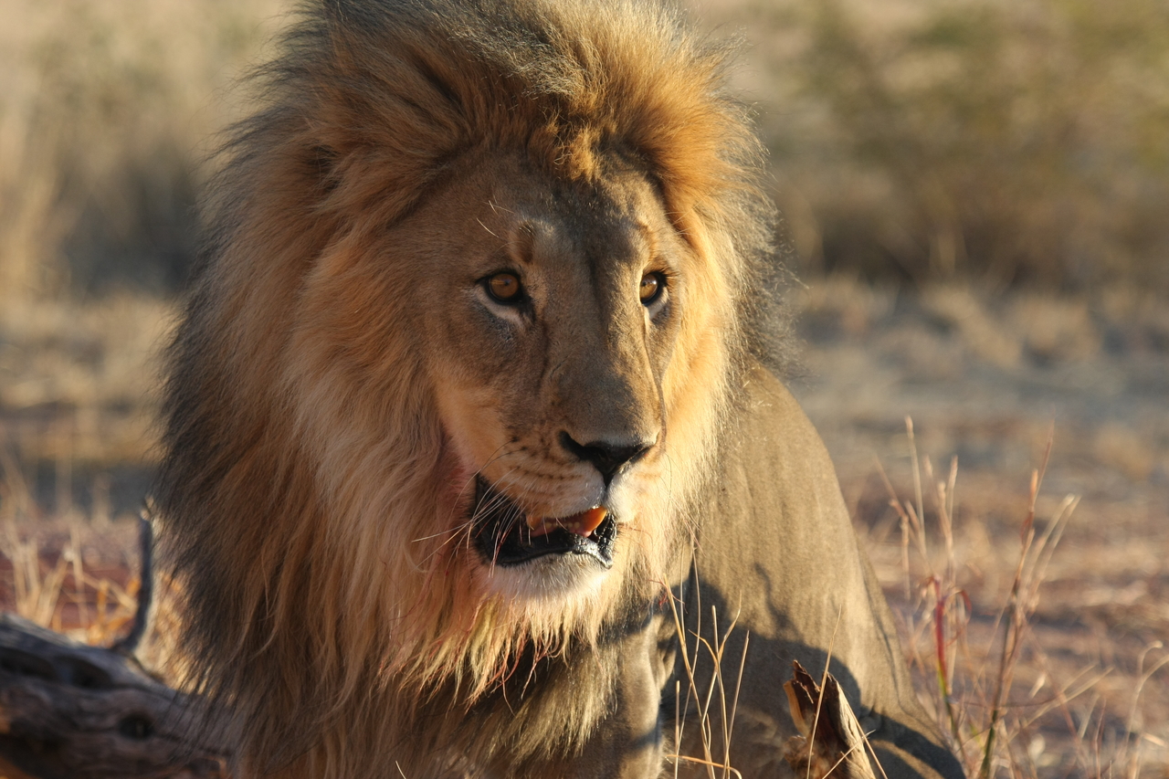 [8576] 2016_06_23_11_54_54_Africa_Canon_EOS_40D_IMG__09247.jpg