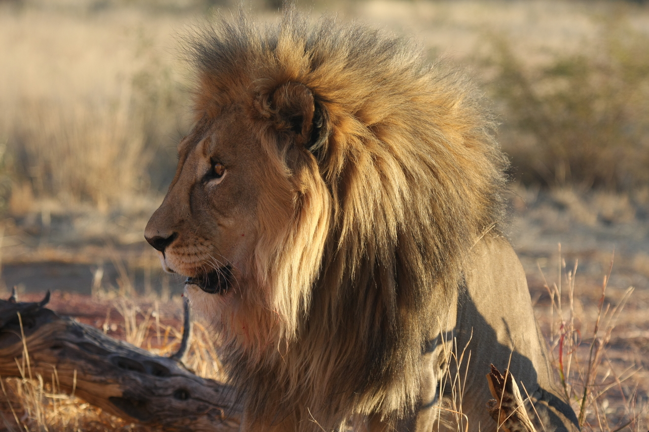 [8596] 2016_06_23_11_54_56_Africa_Canon_EOS_40D_IMG__09255.jpg