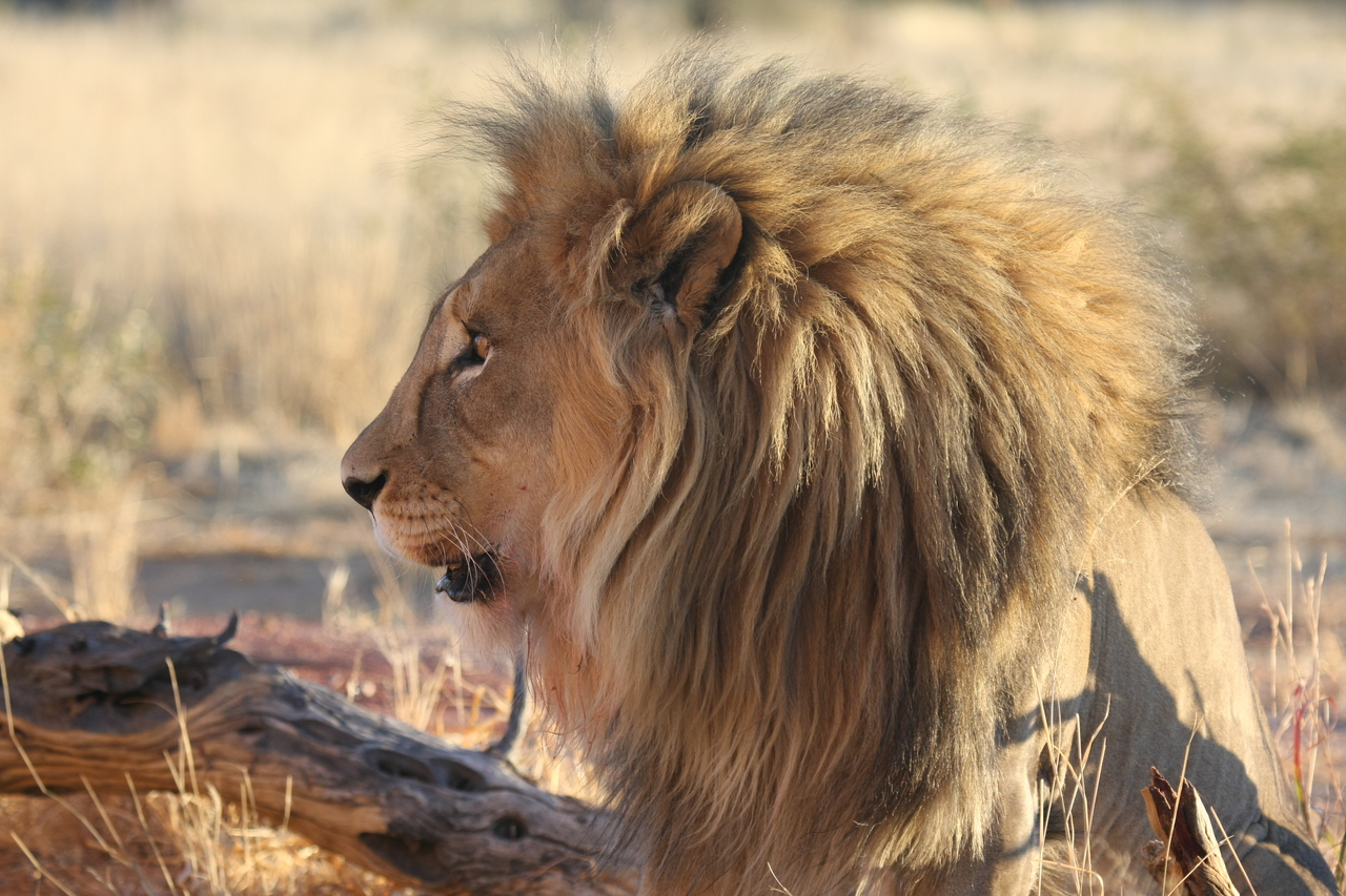 [8597] 2016_06_23_11_55_00_Africa_Canon_EOS_40D_IMG__00977.jpg