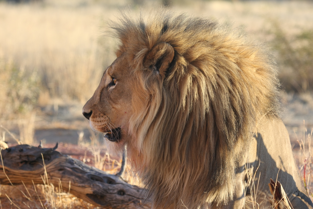 [8608] 2016_06_23_11_55_01_Africa_Canon_EOS_40D_IMG__09261.jpg