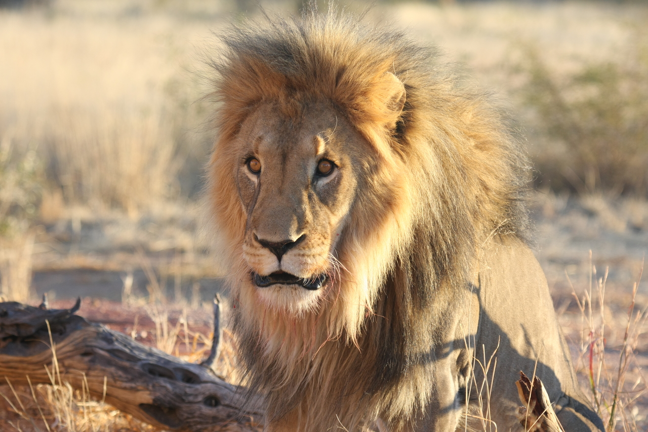 [8619] 2016_06_23_11_55_08_Africa_Canon_EOS_40D_IMG__09264.jpg