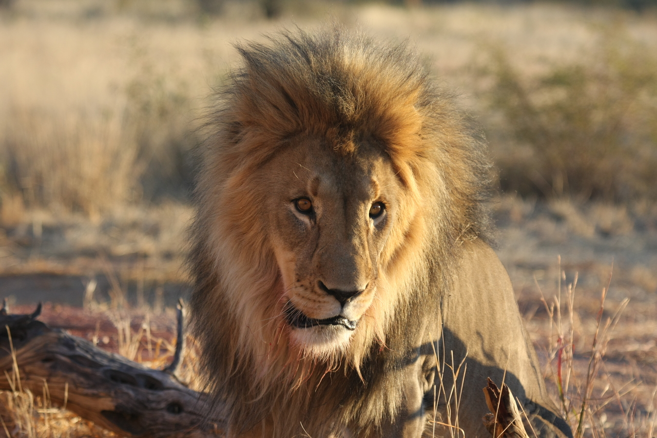 [8624] 2016_06_23_11_55_10_Africa_Canon_EOS_40D_IMG__01819.jpg