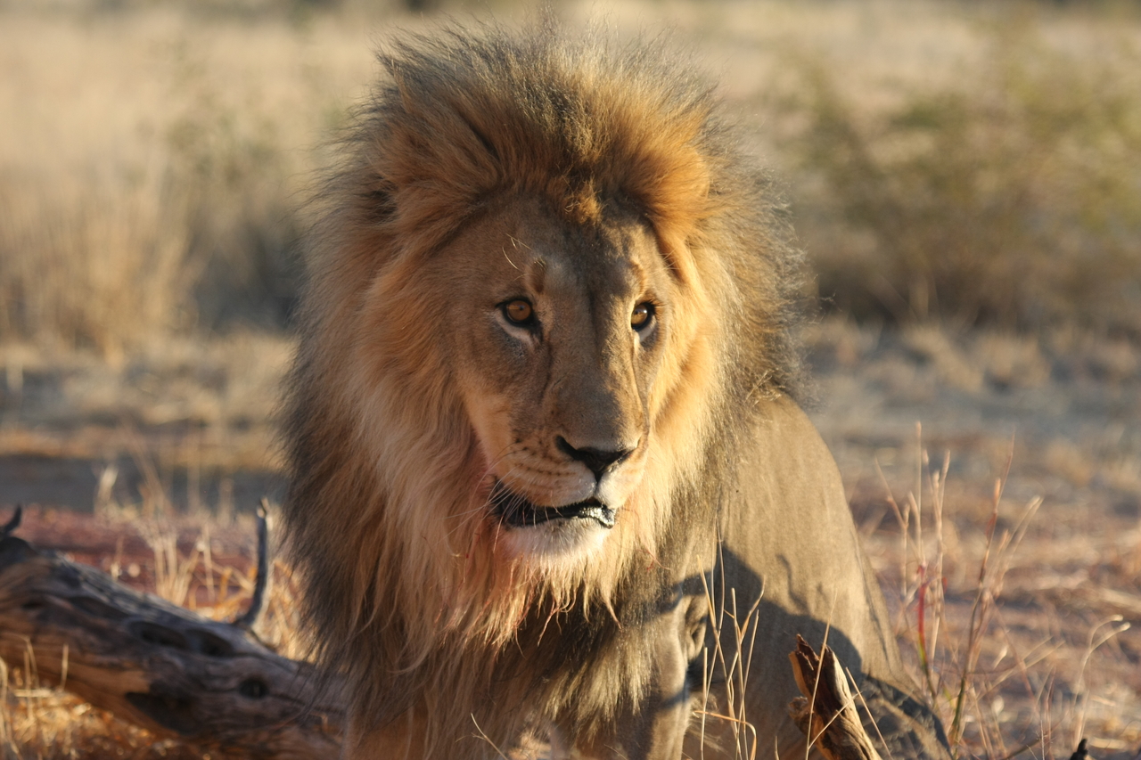 [8627] 2016_06_23_11_55_11_Africa_Canon_EOS_40D_IMG__00988.jpg