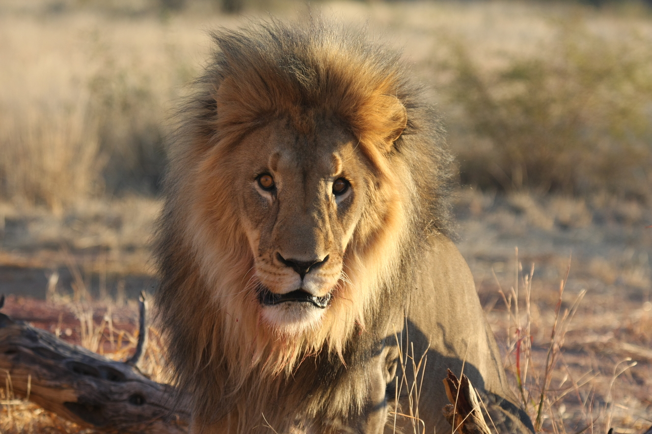 [8636] 2016_06_23_11_55_12_Africa_Canon_EOS_40D_IMG__00991.jpg