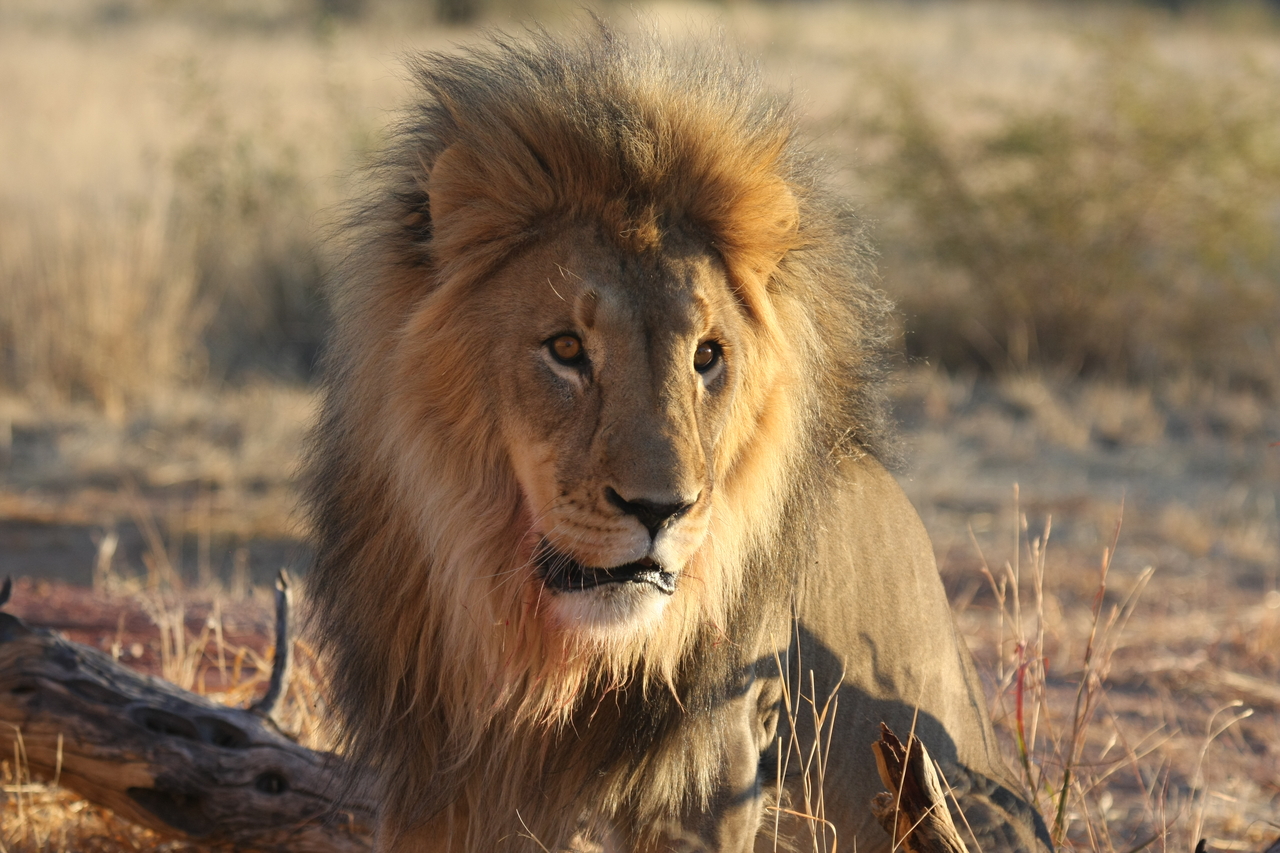 [8637] 2016_06_23_11_55_12_Africa_Canon_EOS_40D_IMG__01824.jpg