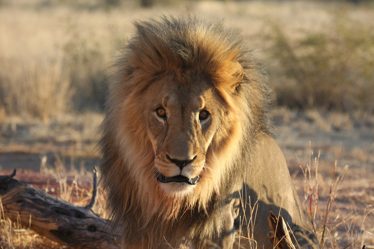 [8648] 2016_06_23_11_55_13_Africa_Canon_EOS_40D_IMG__09274.jpg