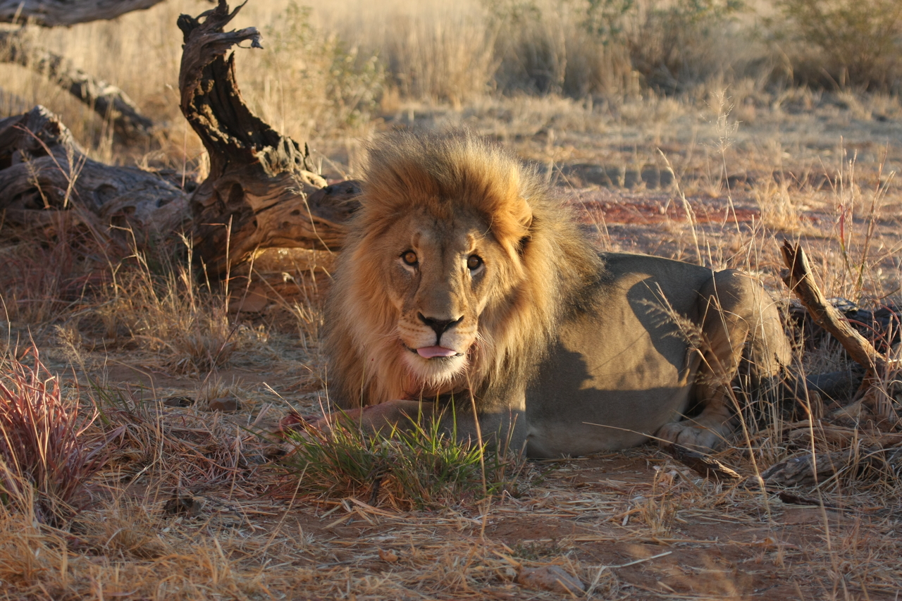 [8671] 2016_06_23_11_55_40_Africa_Canon_EOS_40D_IMG__09282.jpg