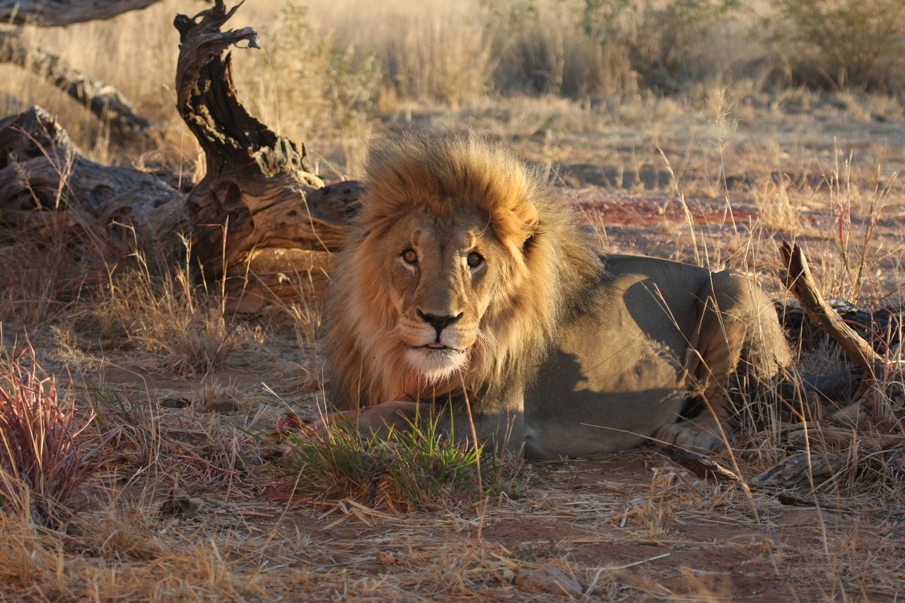 [8673] 2016_06_23_11_55_41_Africa_Canon_EOS_40D_IMG__01003.jpg