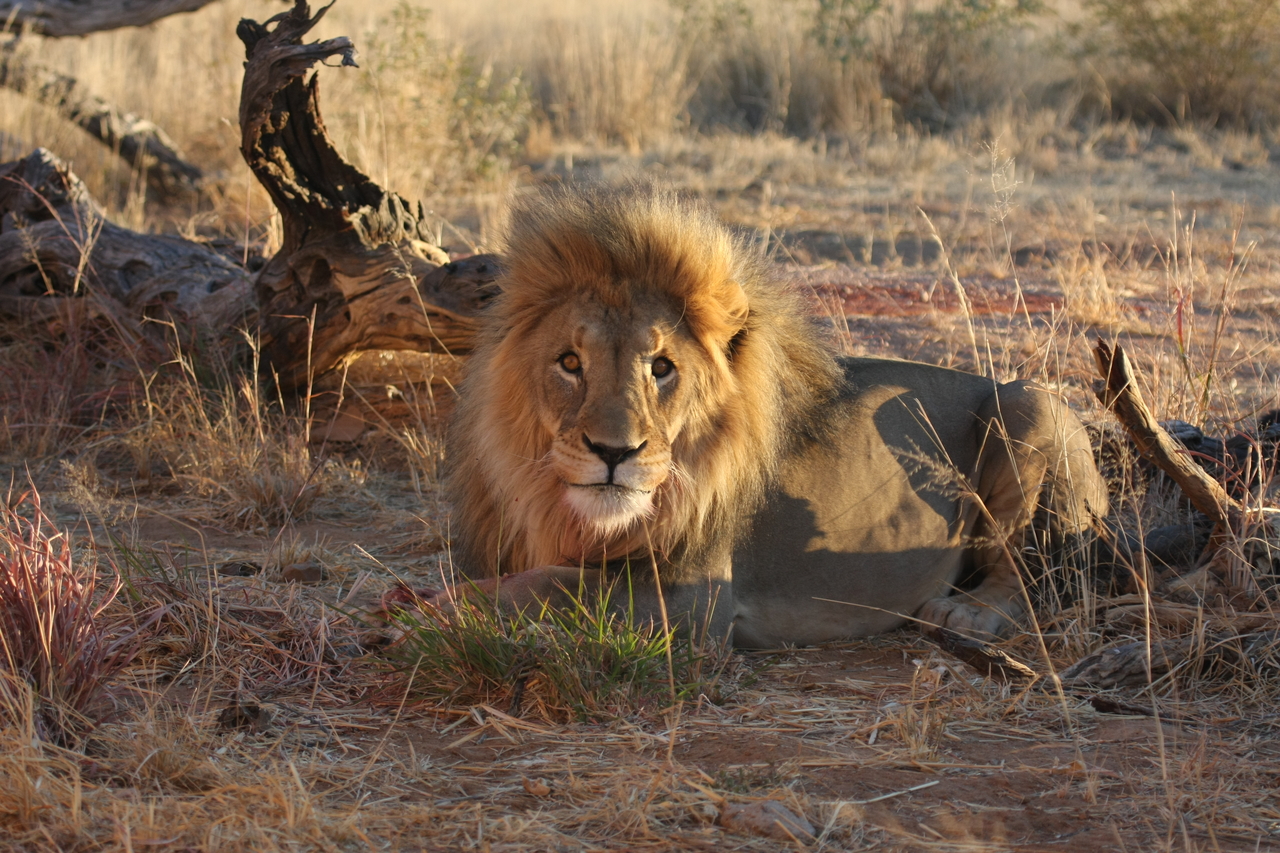 [8676] 2016_06_23_11_55_41_Africa_Canon_EOS_40D_IMG__09283.jpg