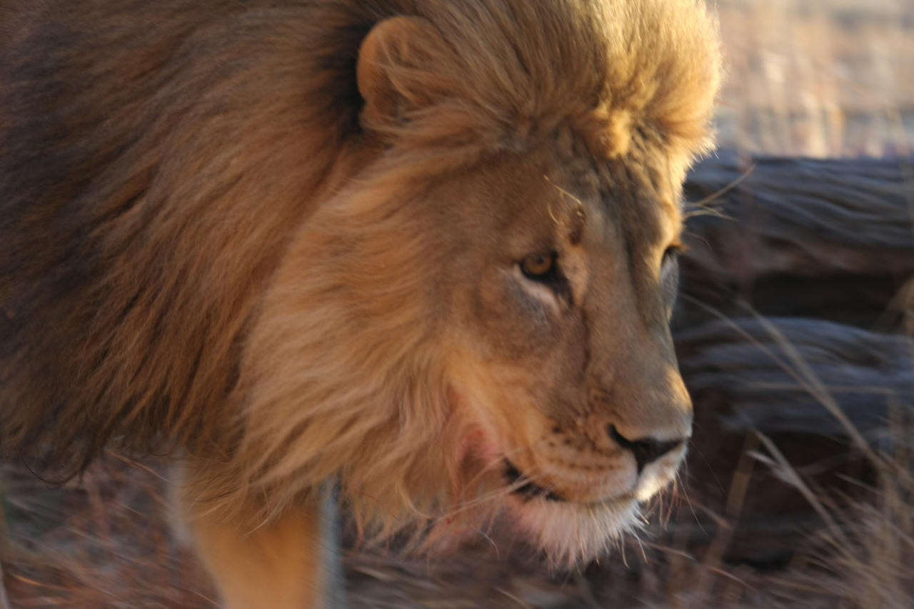 [8696] 2016_06_23_11_56_37_Africa_Canon_EOS_40D_IMG__01839.jpg