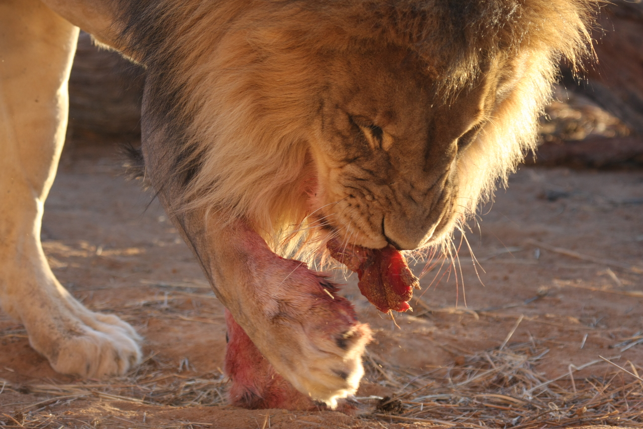 [8707] 2016_06_23_11_56_40_Africa_Canon_EOS_40D_IMG__01841.jpg