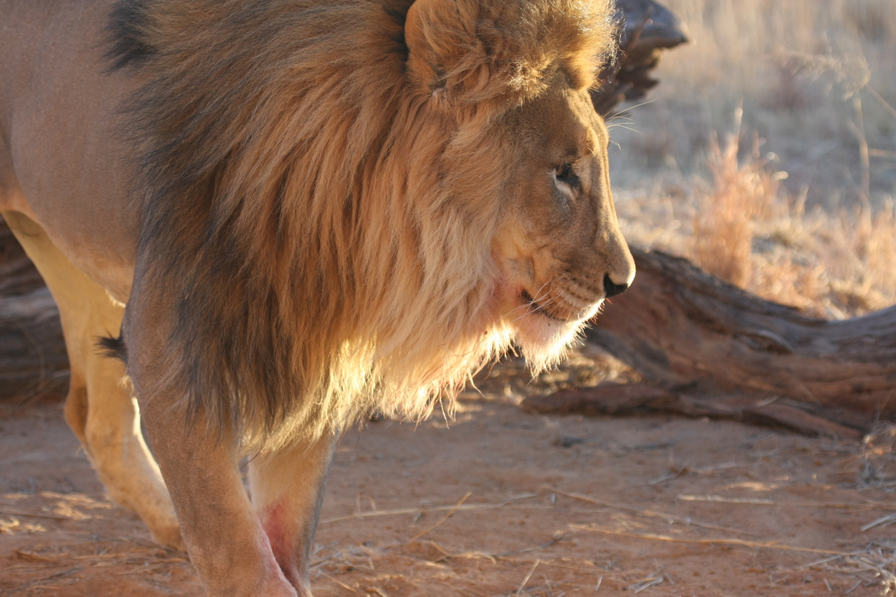 [8736] 2016_06_23_11_56_45_Africa_Canon_EOS_40D_IMG__09296.jpg