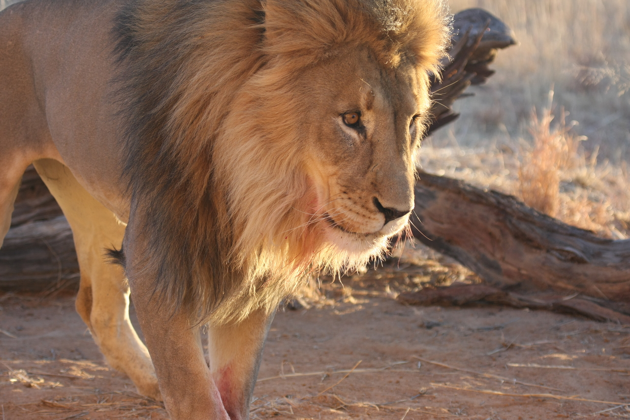 [8738] 2016_06_23_11_56_45_Africa_Canon_EOS_40D_IMG__09298.jpg