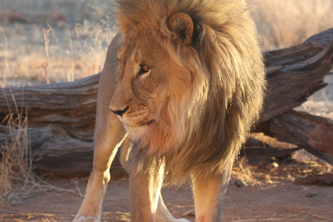 [8746] 2016_06_23_11_56_47_Africa_Canon_EOS_40D_IMG__01855.jpg