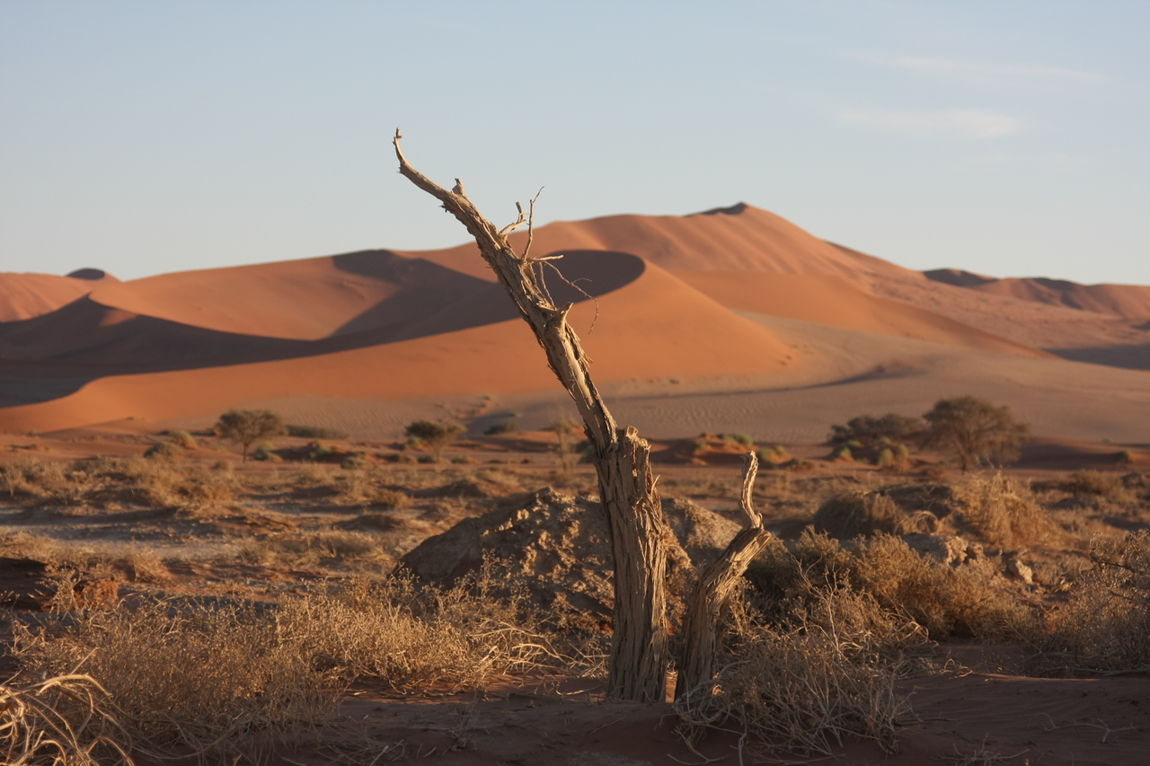 [14696] 2016_06_25_02_20_57_Africa_Canon_EOS_40D_IMG__02095.jpg