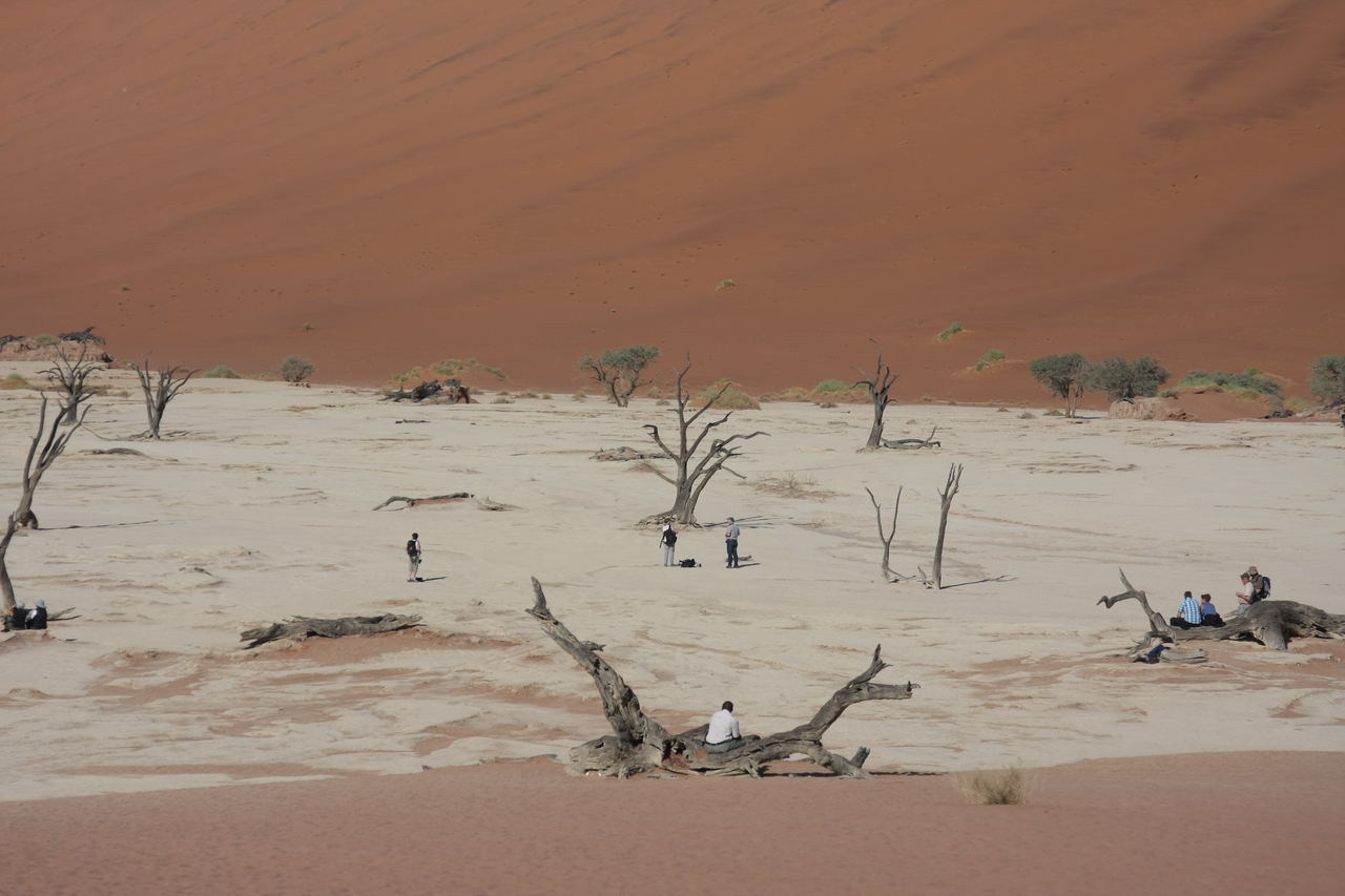 [15275] 2016_06_25_04_47_59_Africa_Canon_EOS_40D_IMG__00085.jpg
