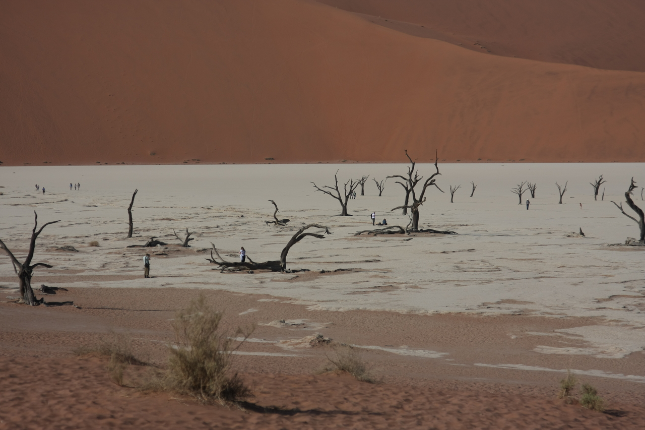 [15285] 2016_06_25_04_48_07_Africa_Canon_EOS_40D_IMG__02081.jpg