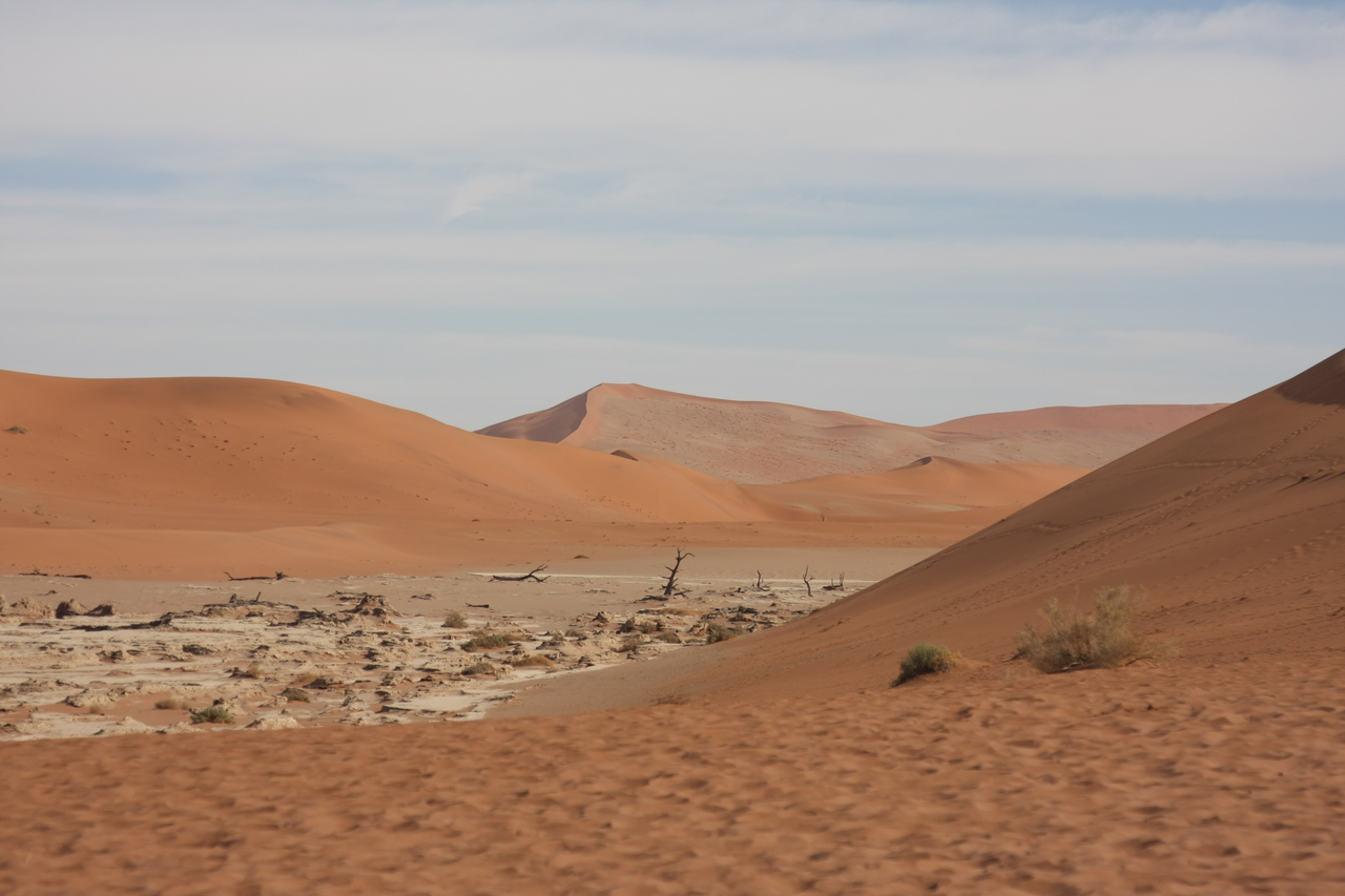 [15297] 2016_06_25_04_48_30_Africa_Canon_EOS_40D_IMG__00094.jpg