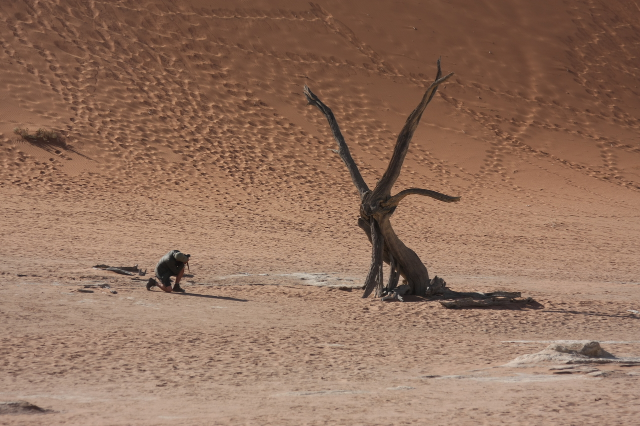 [15319] 2016_06_25_04_50_52_Africa_Canon_EOS_40D_IMG__02093.jpg