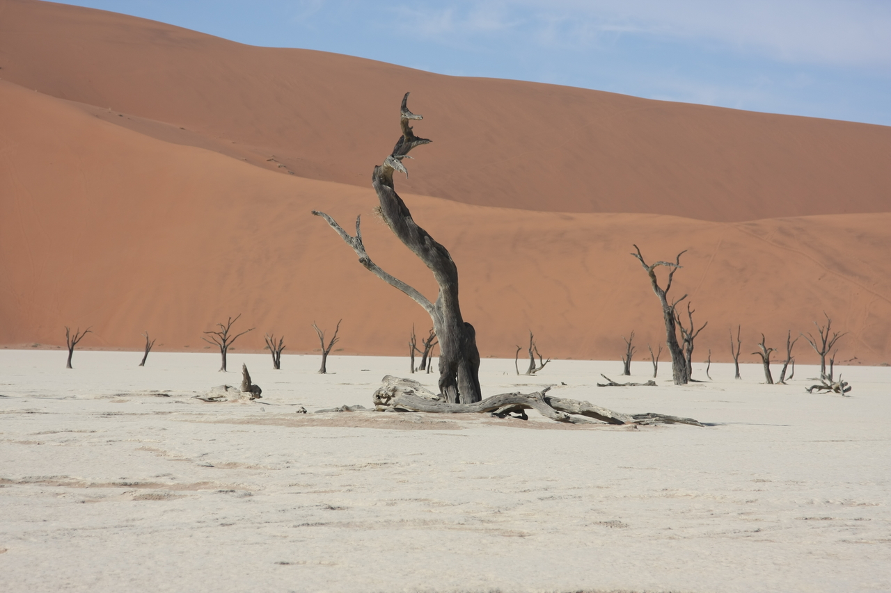 [15324] 2016_06_25_04_51_34_Africa_Canon_EOS_40D_IMG__02096.jpg