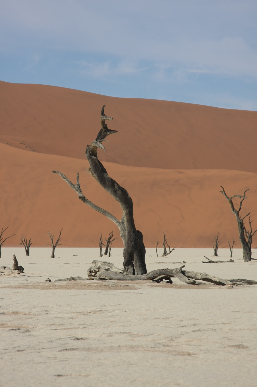 [15328] 2016_06_25_04_51_50_Africa_Canon_EOS_40D_IMG__02097.jpg