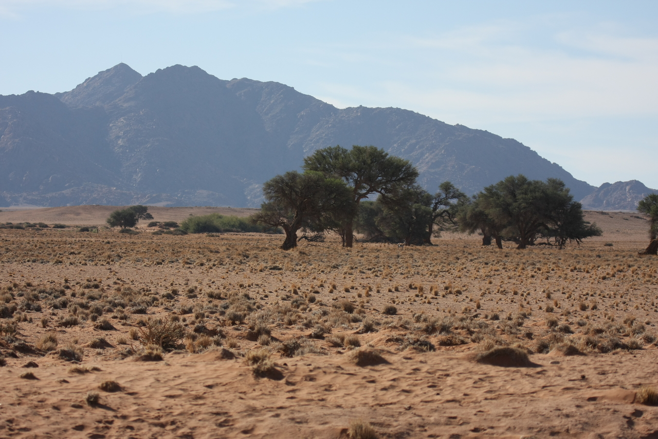 [15785] 2016_06_25_09_32_18_Africa_Canon_EOS_40D_IMG__00116.jpg