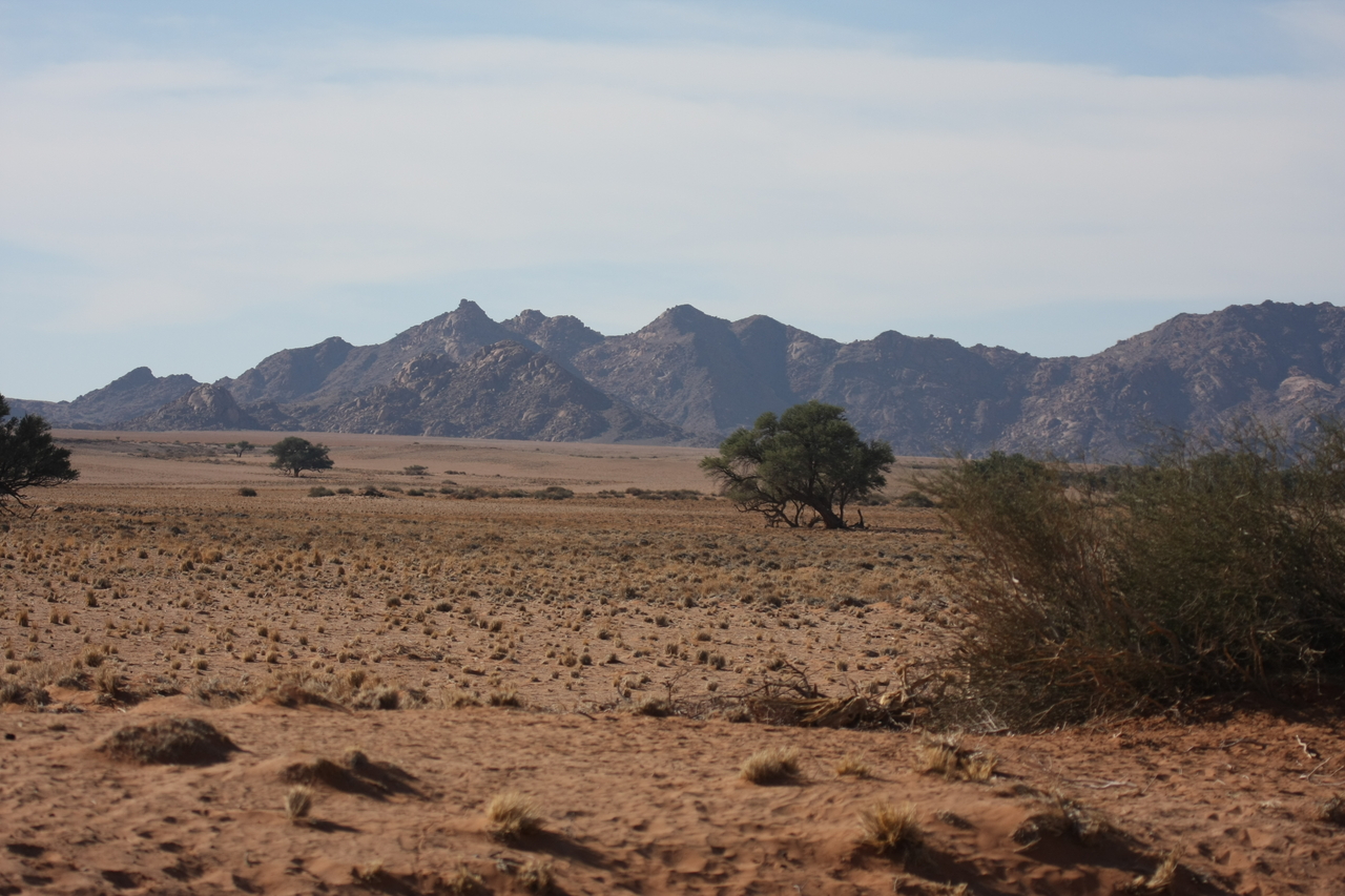[15791] 2016_06_25_09_32_36_Africa_Canon_EOS_40D_IMG__00118.jpg