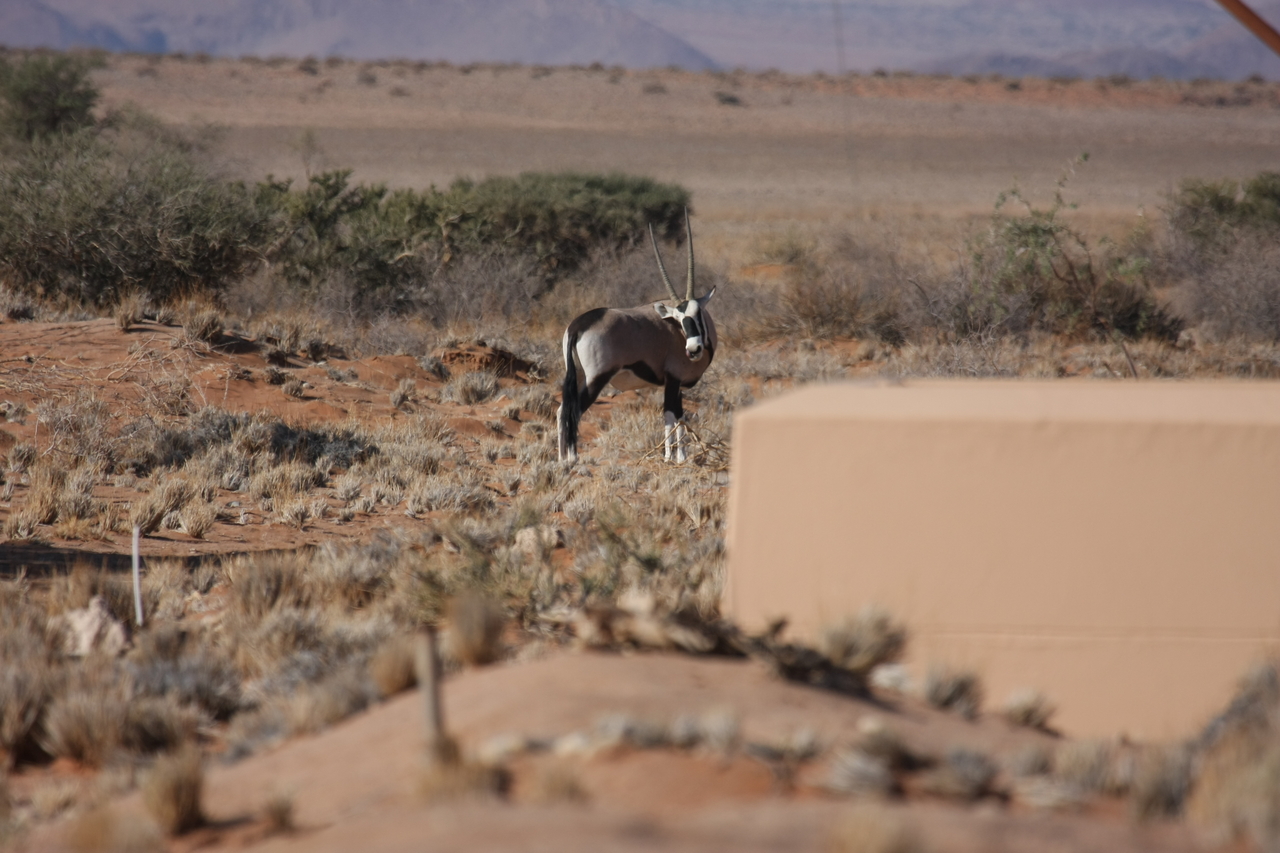 [15809] 2016_06_25_09_33_46_Africa_Canon_EOS_40D_IMG__00124.jpg