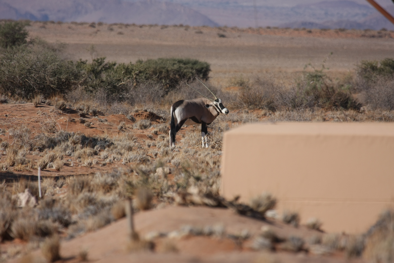 [15812] 2016_06_25_09_33_46_Africa_Canon_EOS_40D_IMG__02119.jpg