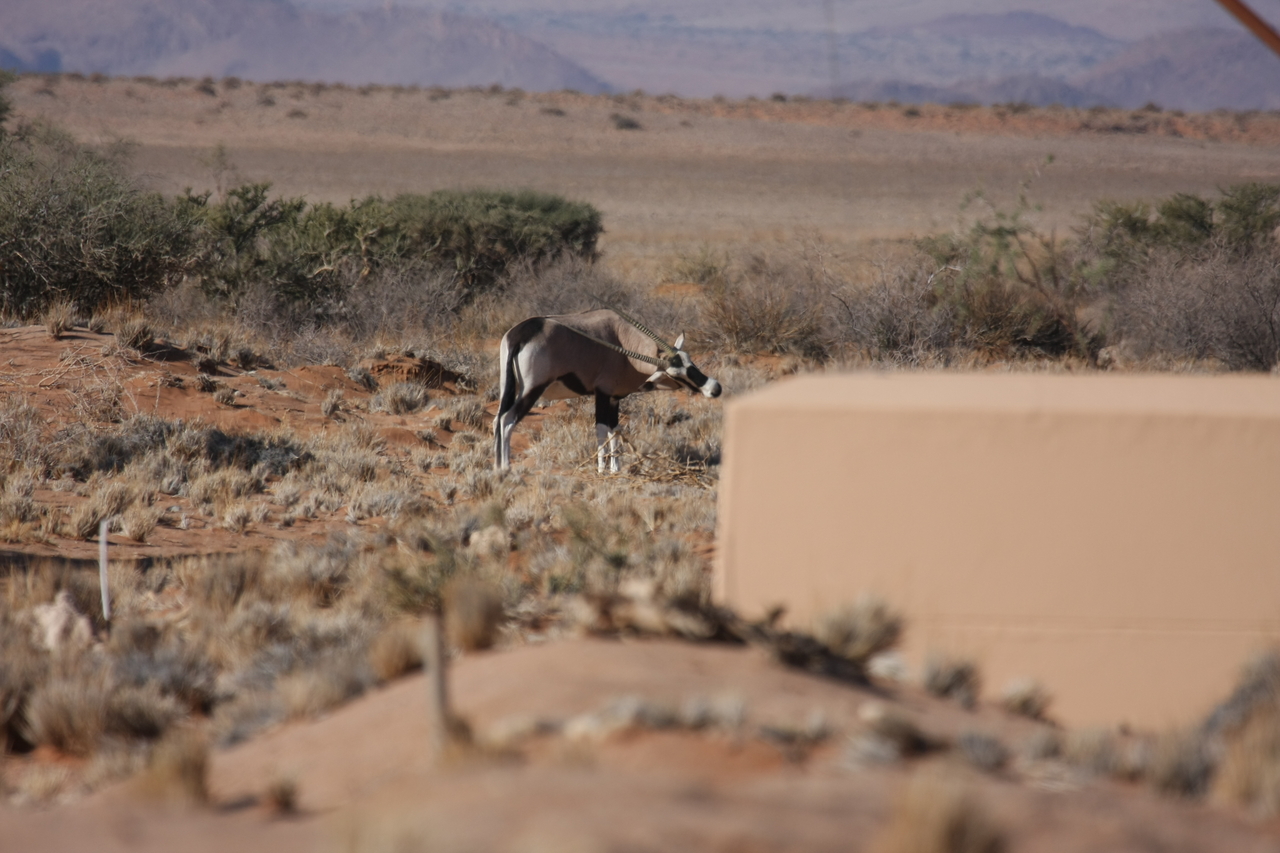 [15818] 2016_06_25_09_33_58_Africa_Canon_EOS_40D_IMG__02120.jpg