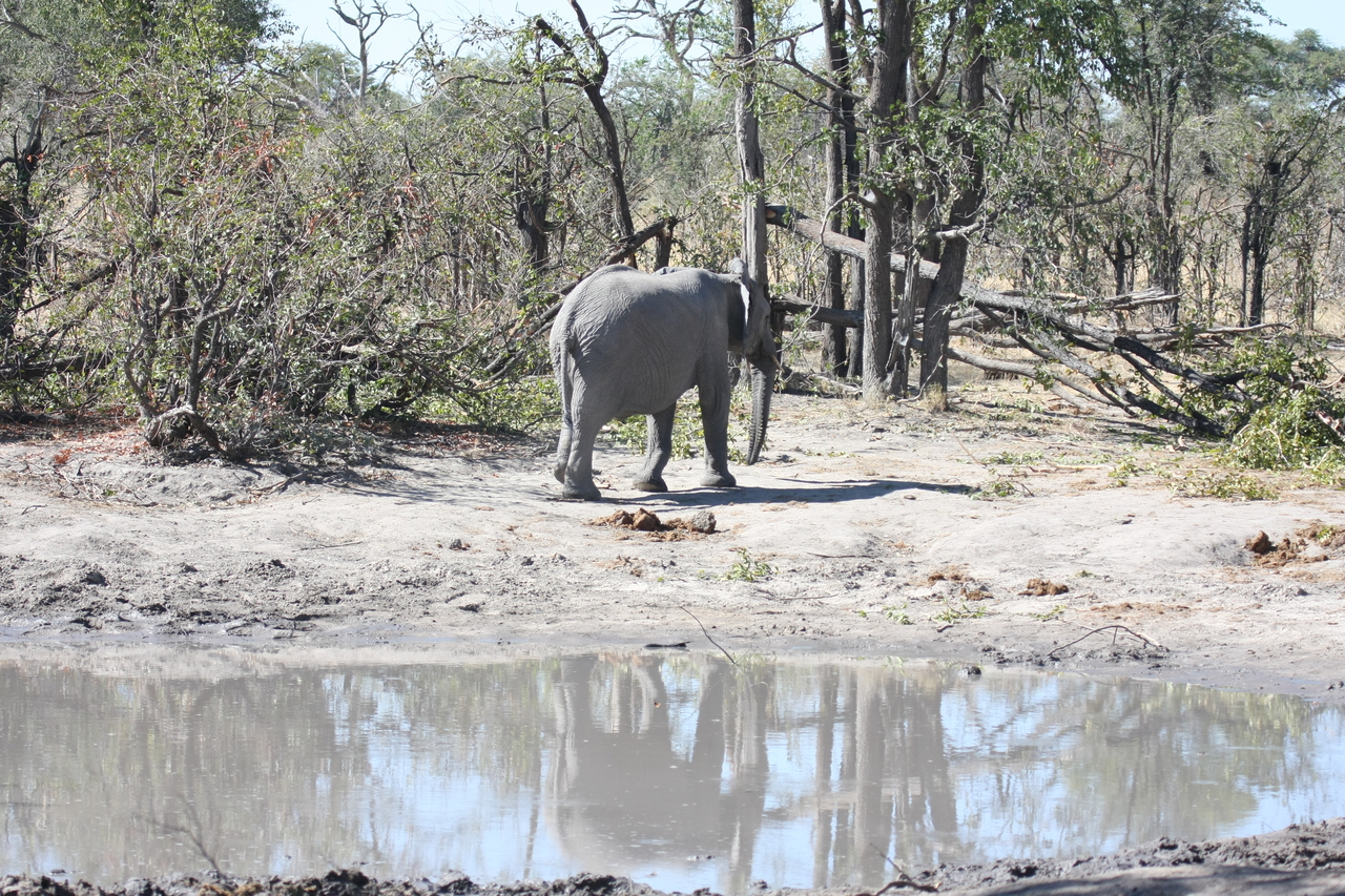[16835] 2016_06_27_07_51_58_Africa_Canon_EOS_40D_IMG__00021.jpg