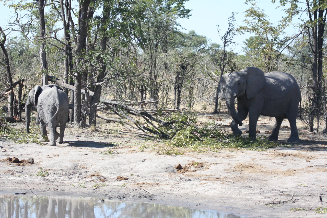 [16846] 2016_06_27_07_52_03_Africa_Canon_EOS_40D_IMG__09759.jpg