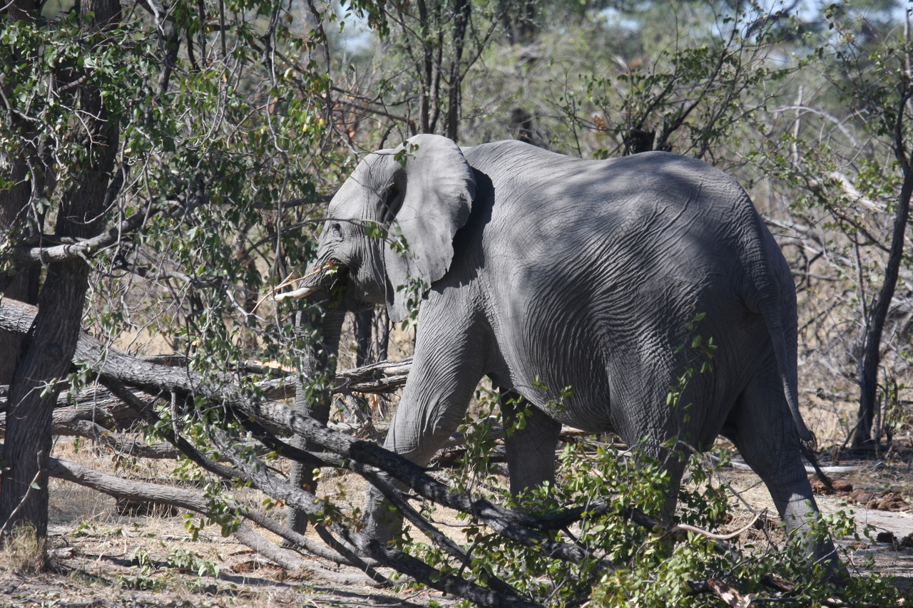 [16856] 2016_06_27_07_52_25_Africa_Canon_EOS_40D_IMG__02317.jpg