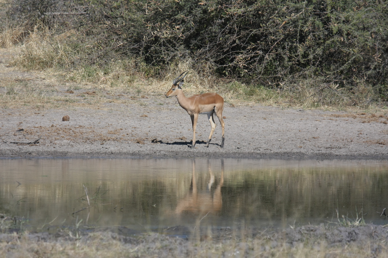 [16929] 2016_06_27_08_07_28_Africa_Canon_EOS_40D_IMG__00050.jpg