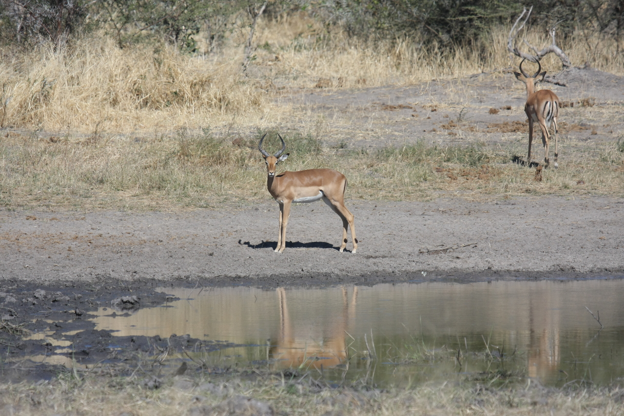 [16936] 2016_06_27_08_07_36_Africa_Canon_EOS_40D_IMG__00053.jpg